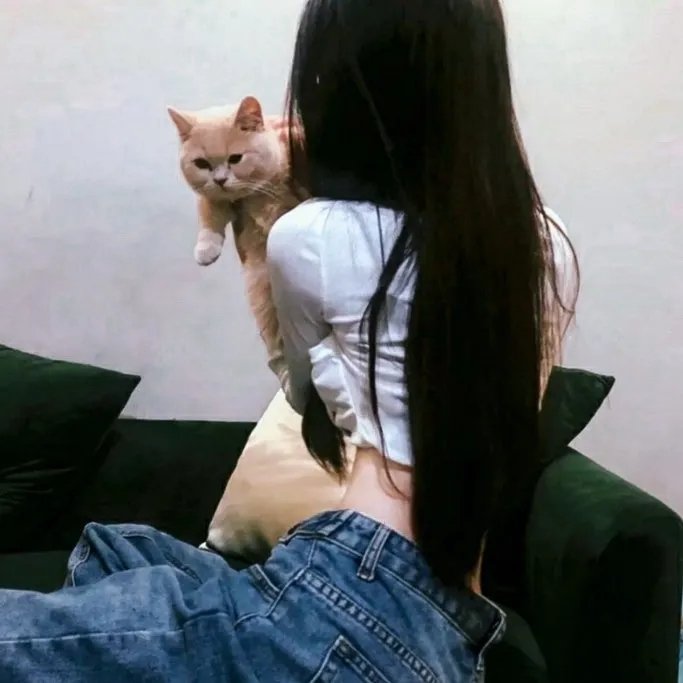 阿普的问题